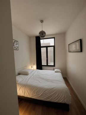 Appartement confortable 1 chambre au coeur de Bruxelles